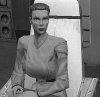 images/avatars/avatar-406.jpg
